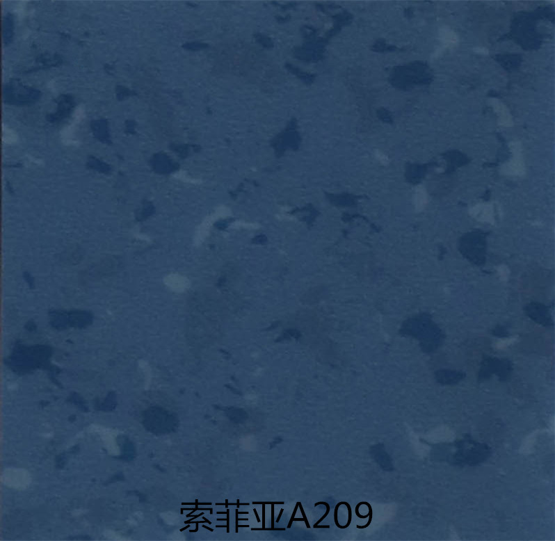 SR-A209
